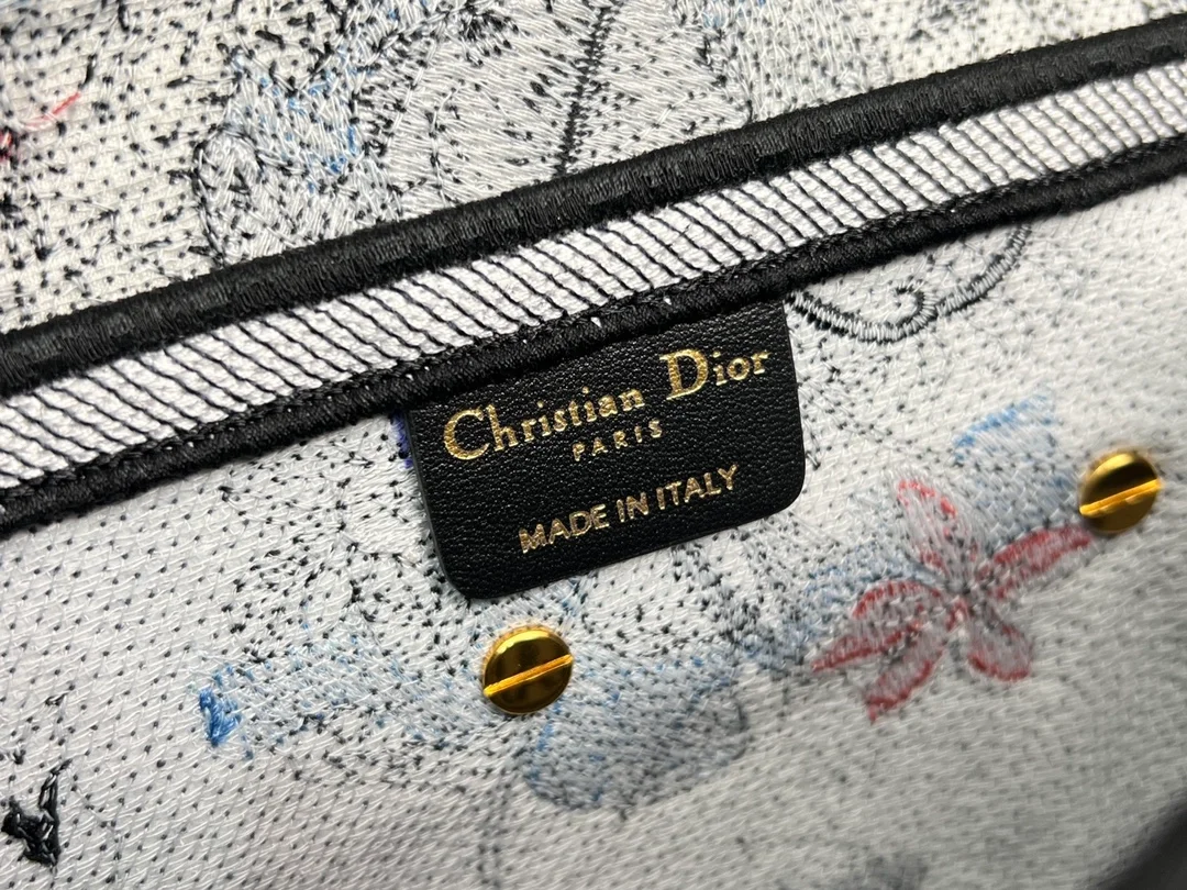 디올 오블리크 자수 새들 백