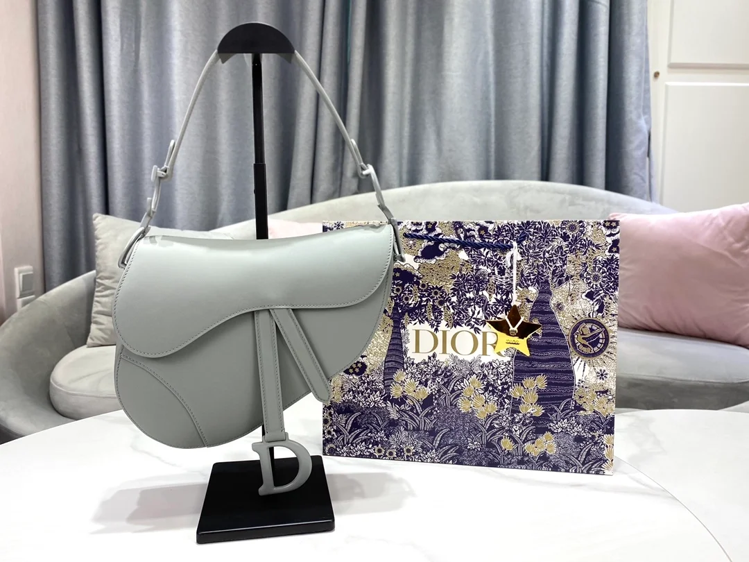 디올 매트 버클 새들 백 그레이