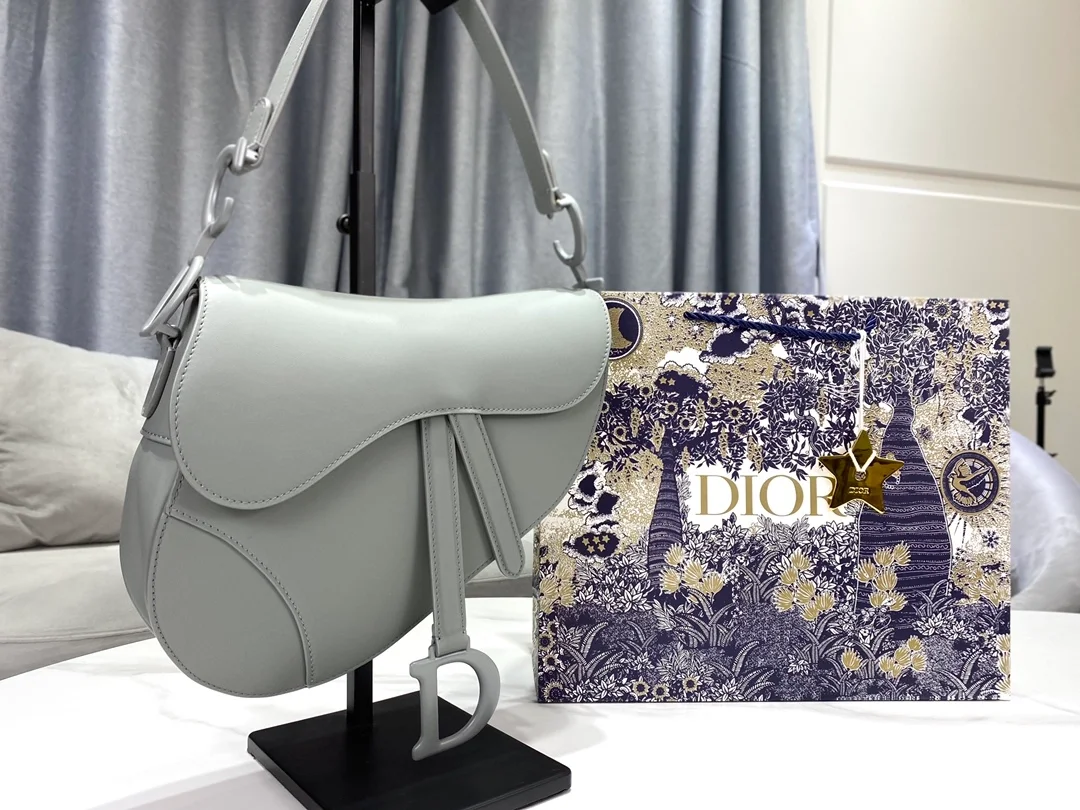 디올 매트 버클 새들 백 그레이