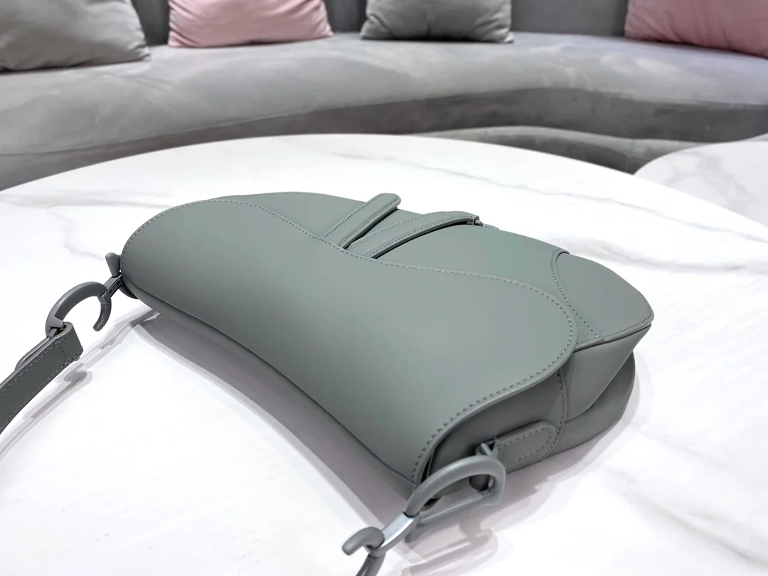 디올 매트 버클 새들 백 그레이