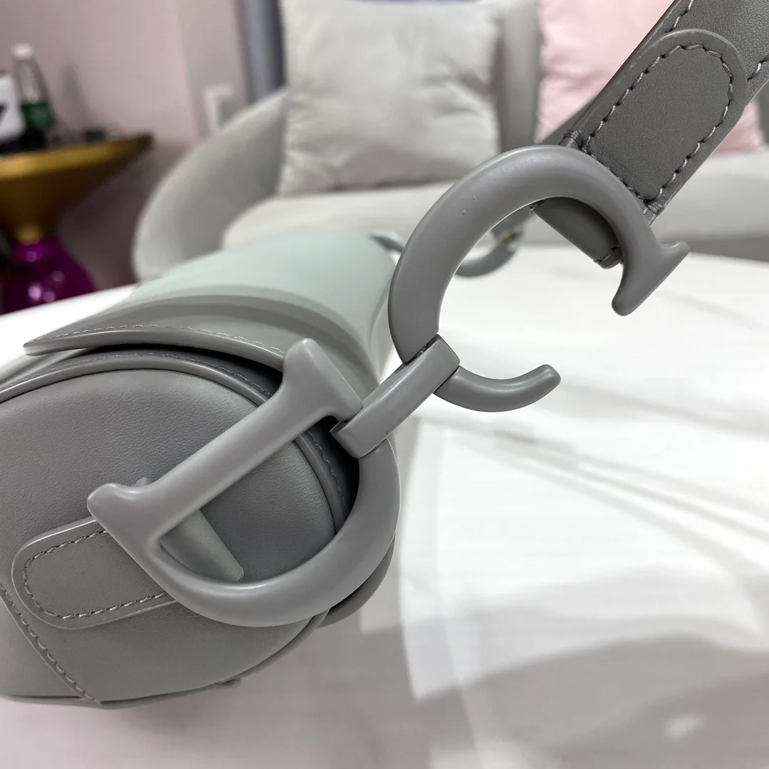 디올 매트 버클 새들 백 그레이