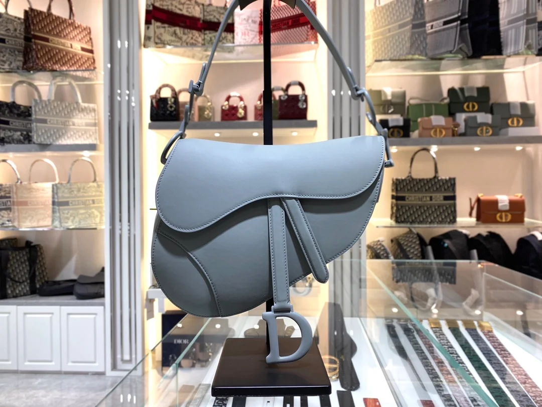 디올 매트 버클 새들 백 그레이