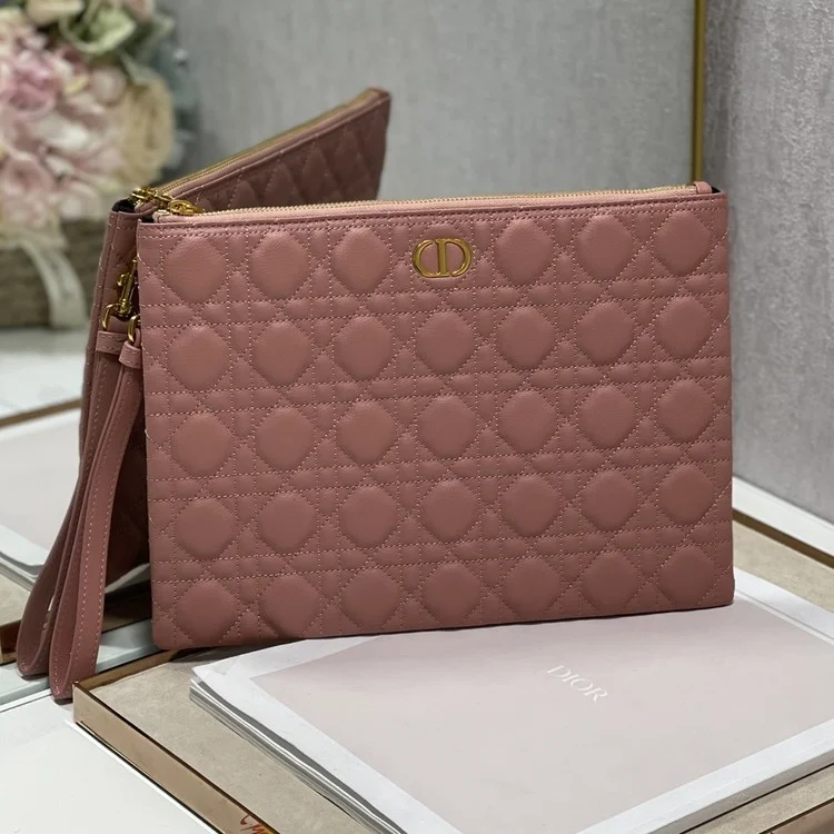 디올 미디움 카로 데일리 파우치