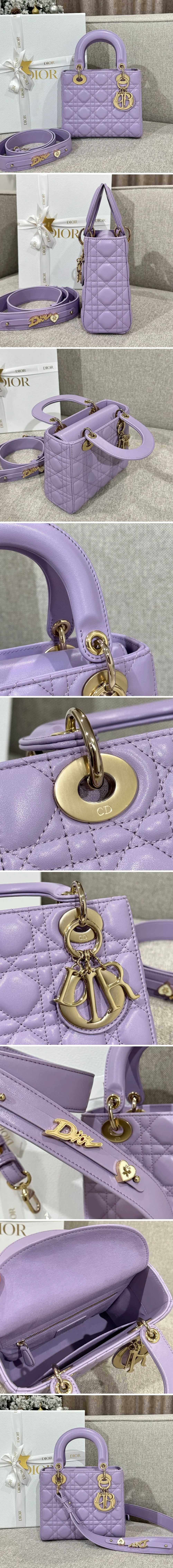 디올 레이디 카나쥬 백 20