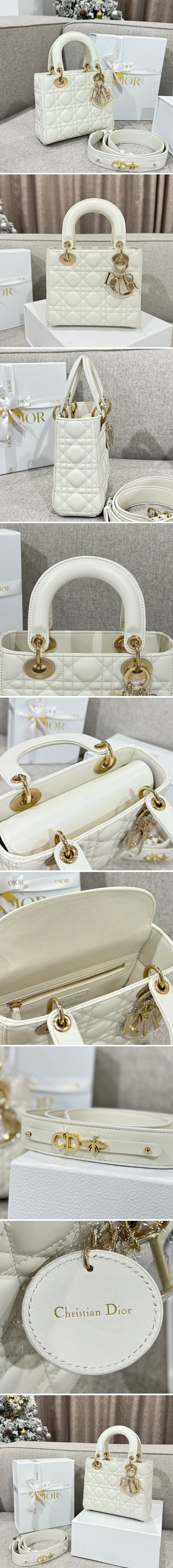 디올 레이디 카나쥬 백 20