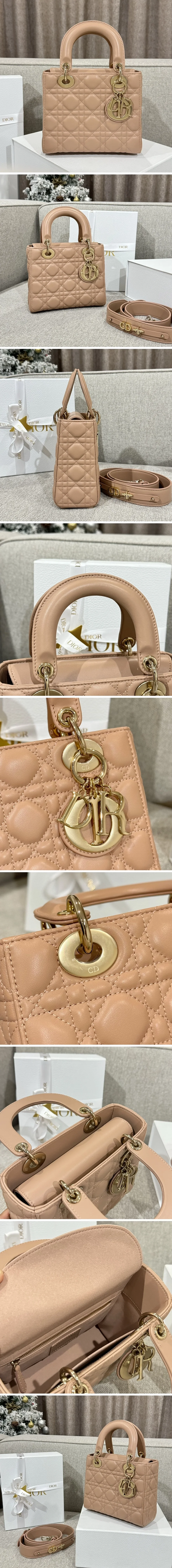 디올 레이디 카나쥬 백 20