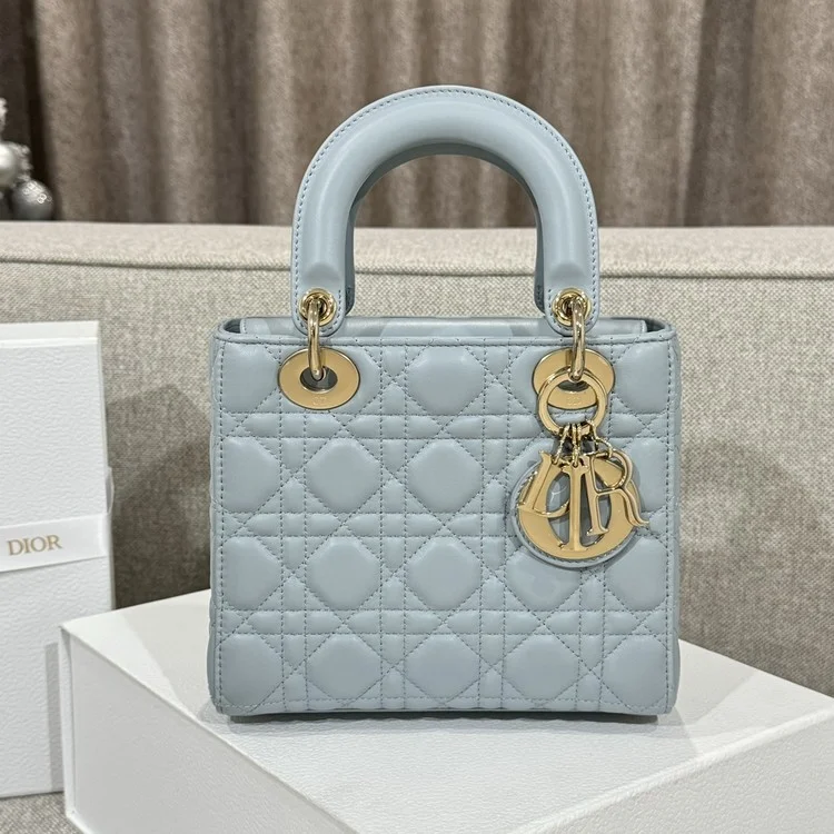 디올 레이디 카나쥬 백 20