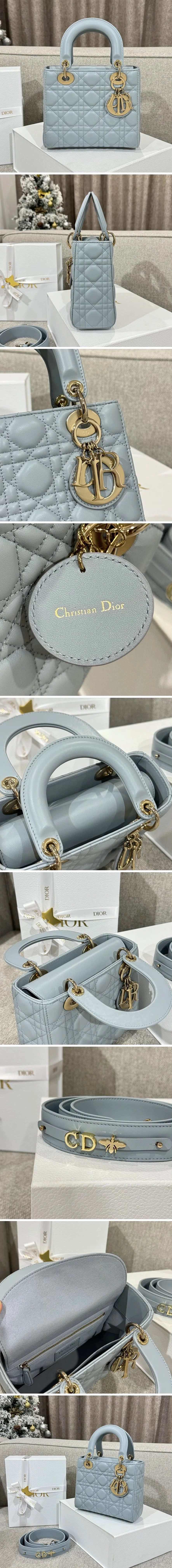 디올 레이디 카나쥬 백 20