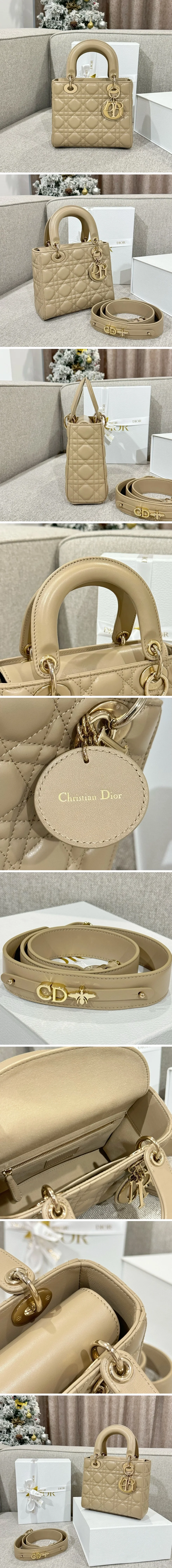 디올 레이디 카나쥬 백 20