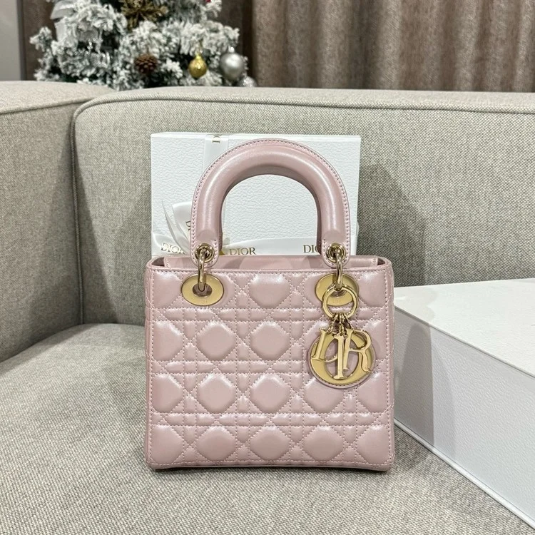 디올 레이디 카나쥬 백 20