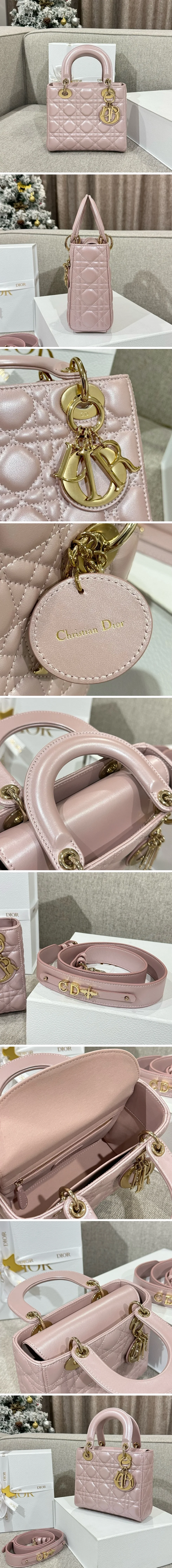 디올 레이디 카나쥬 백 20