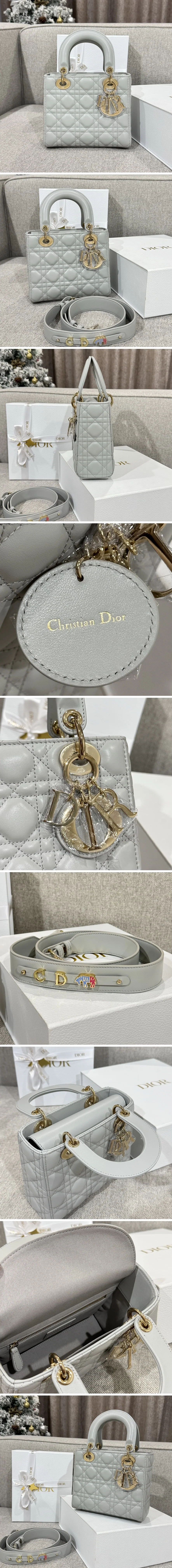 디올 레이디 카나쥬 백 20