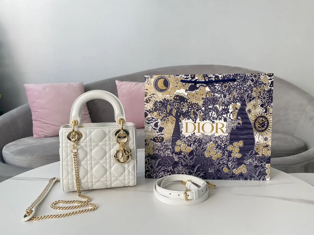 디올 레이디 미니 백 화이트