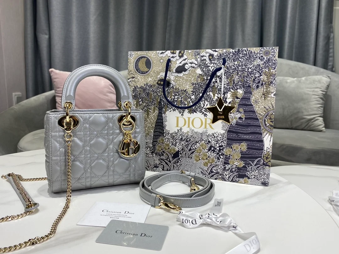 디올 레이디 미니 백 그레이