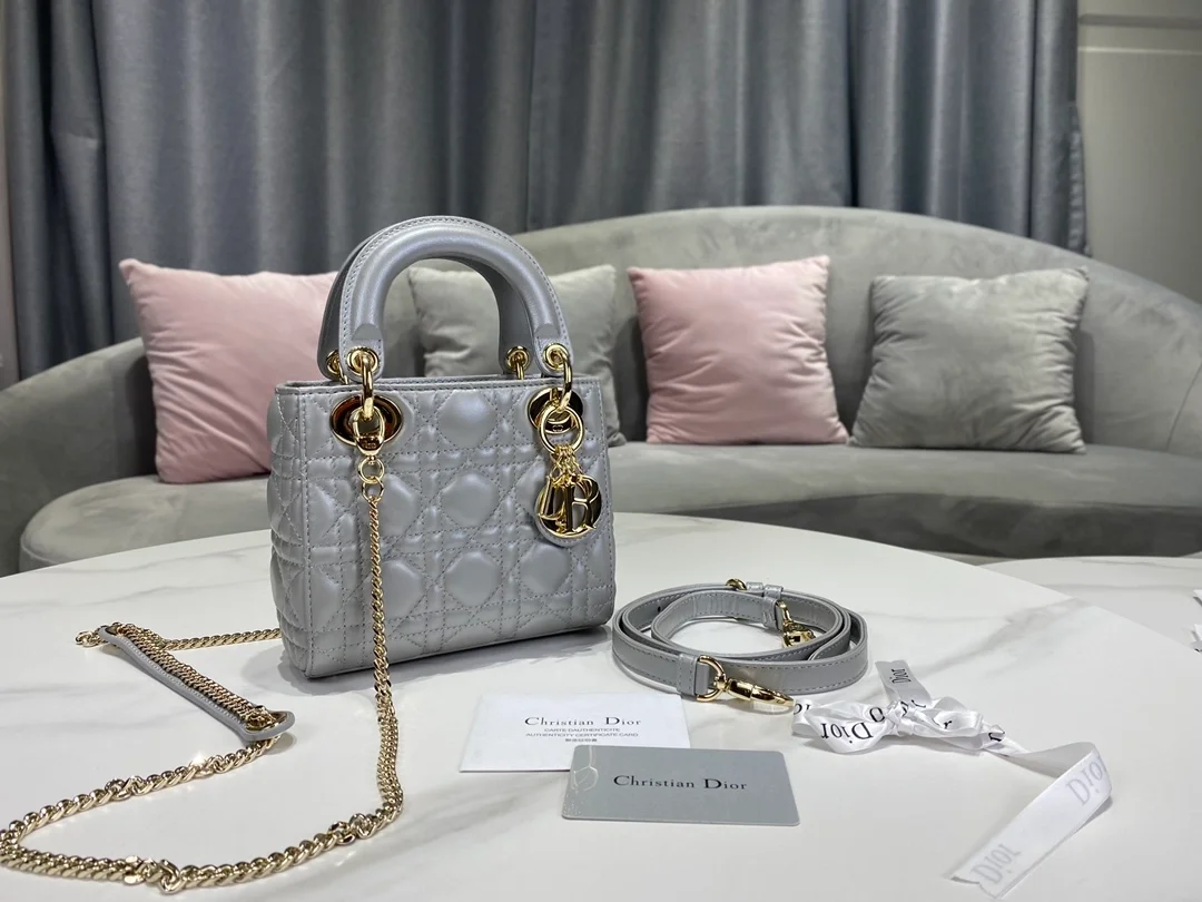 디올 레이디 미니 백 그레이