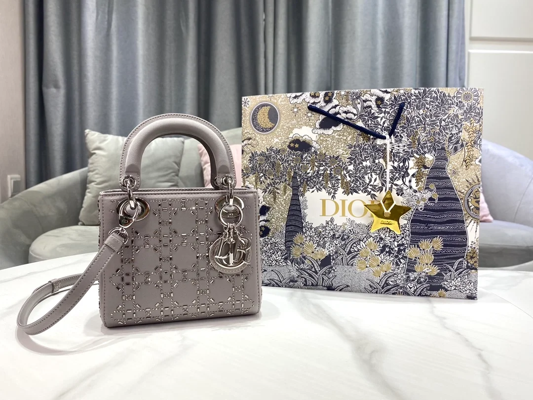 디올 레이디 그레이 라인 스톤 미니 백