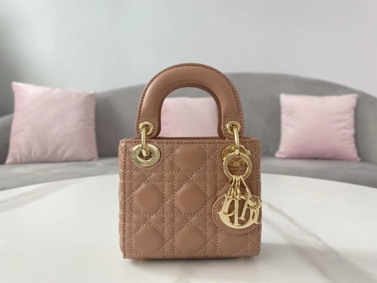 디올 레이디 마이크로 핸드백 로즈