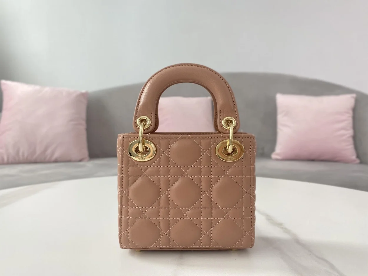 디올 레이디 마이크로 핸드백 로즈