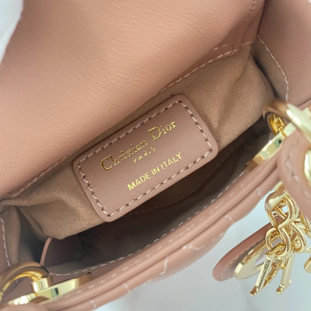 디올 레이디 마이크로 핸드백 로즈