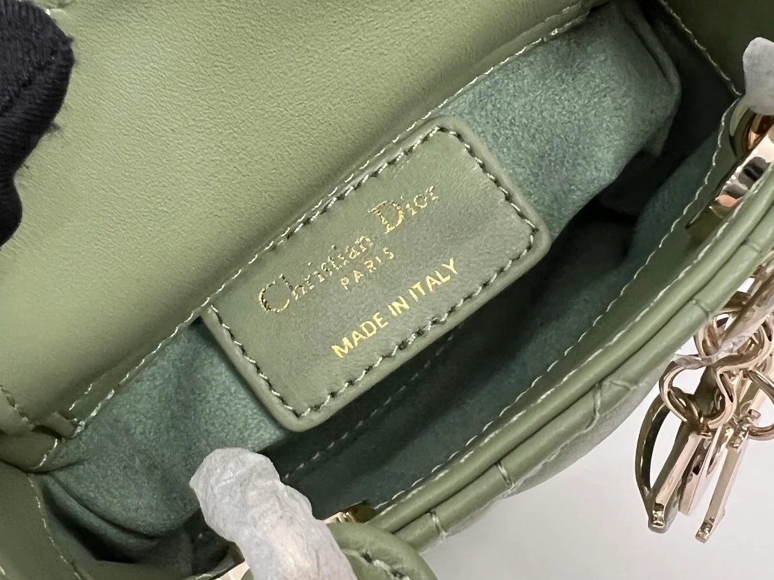 디올 레이디 마이크로 핸드백 그린