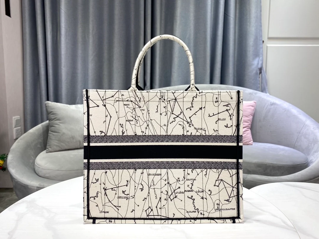 디올 레이디 라지 북 토트 백