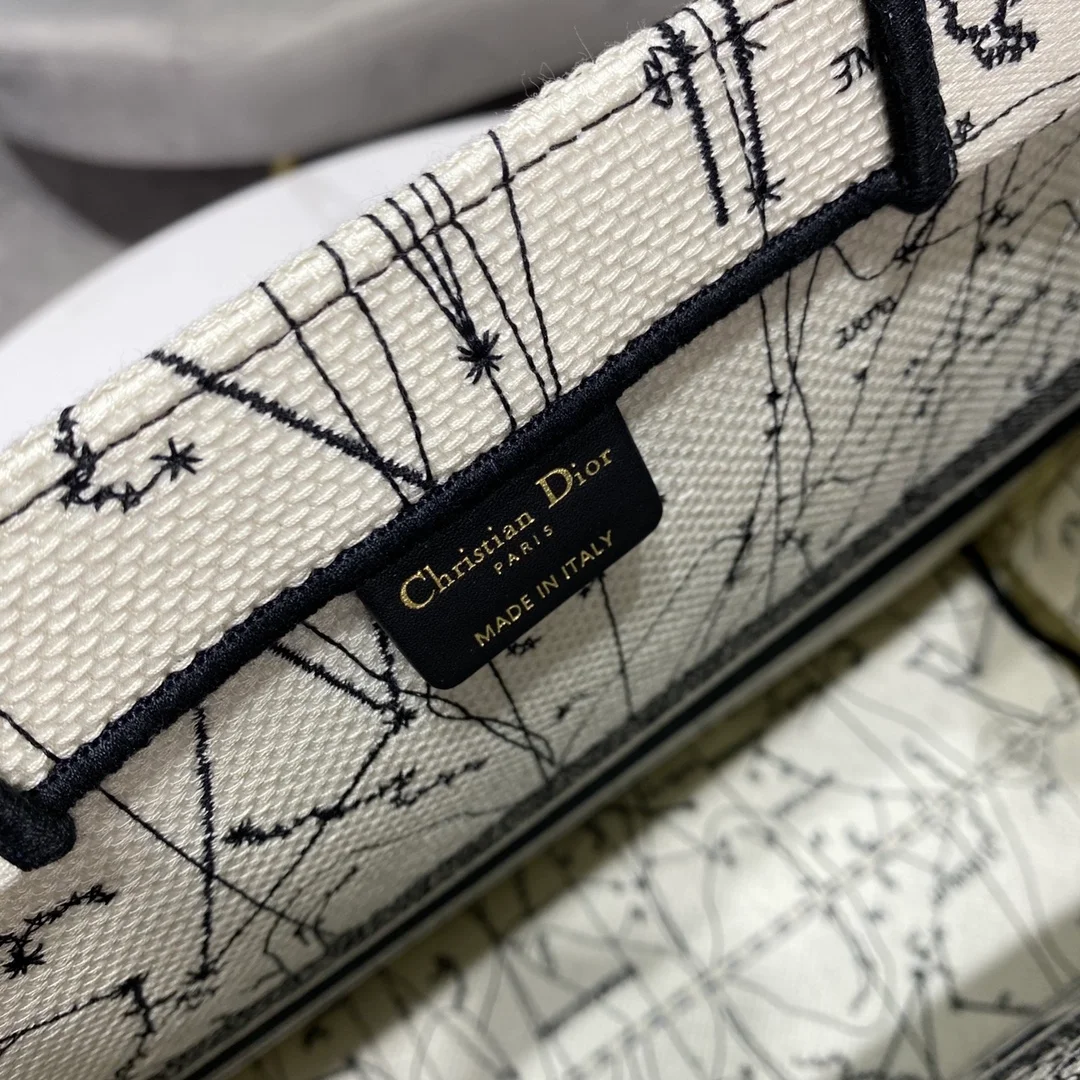 디올 레이디 라지 북 토트 백