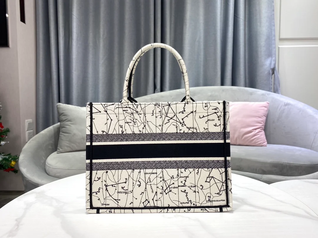 디올 레이디 미디움 북 토트 백