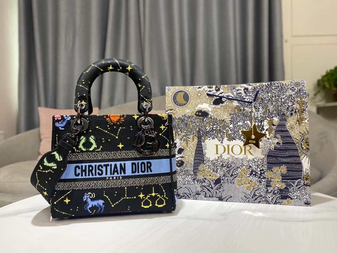 디올 레이디 D-LITE 픽셀 조디악 미디움 백