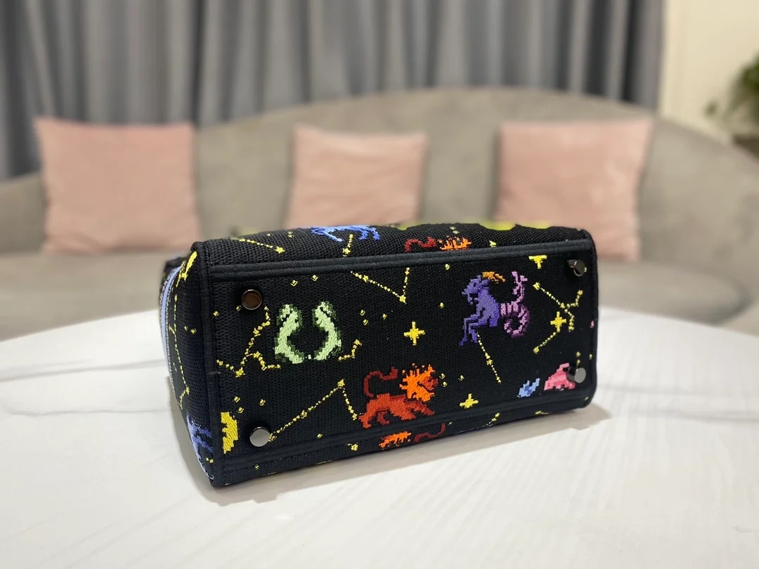 디올 레이디 D-LITE 픽셀 조디악 미디움 백