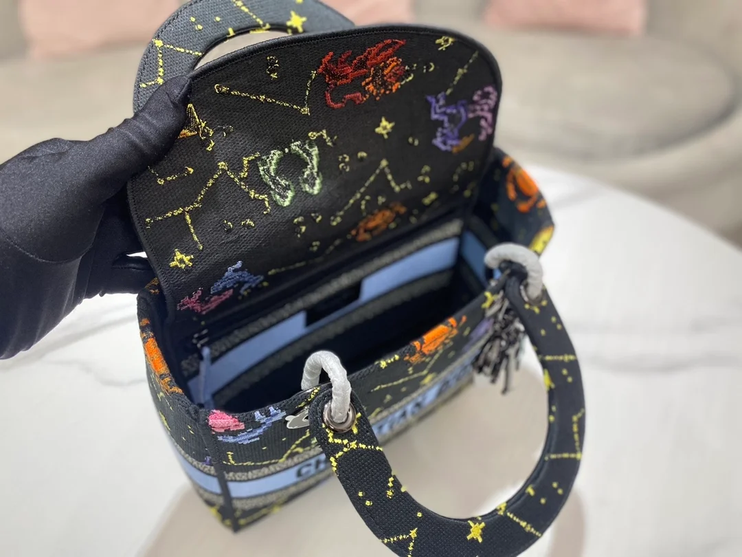 디올 레이디 D-LITE 픽셀 조디악 미디움 백