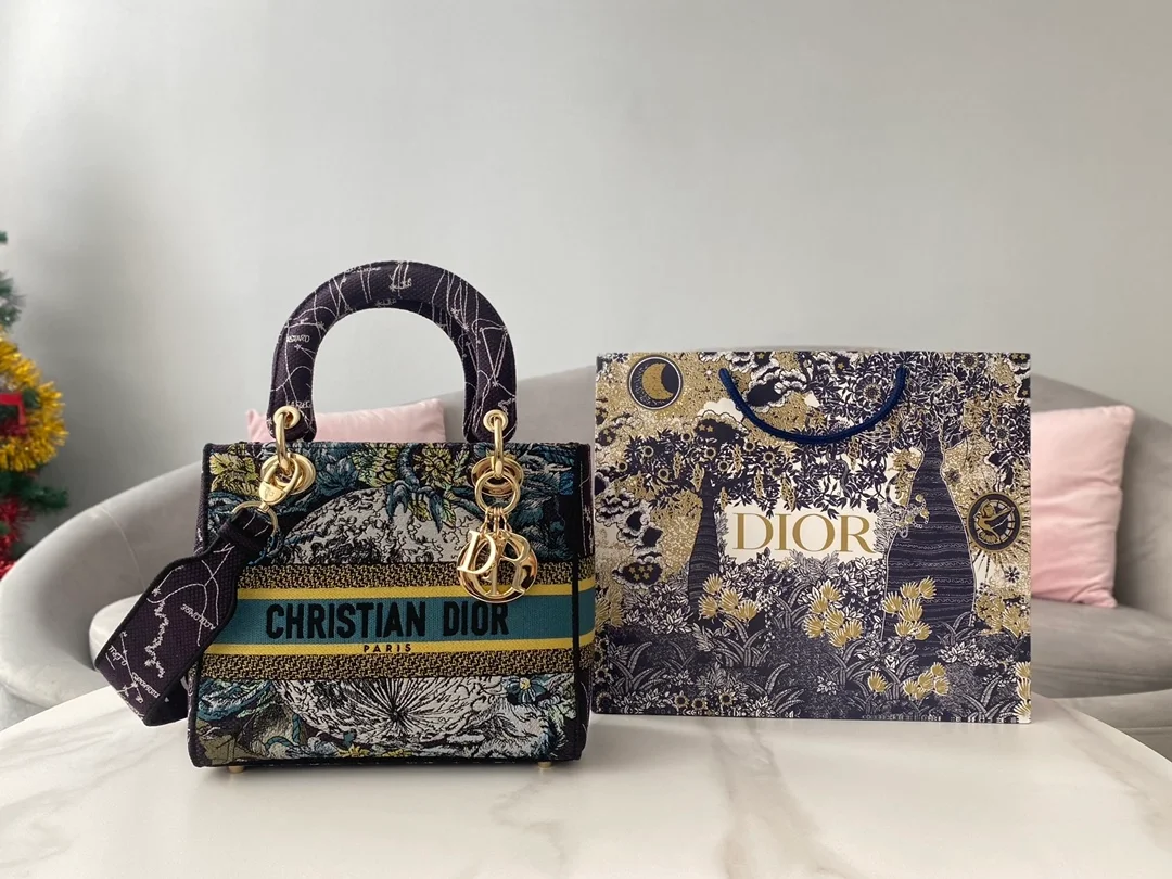 디올 레이디 D-Lite 별자리 멀티 컬러 미디움 백