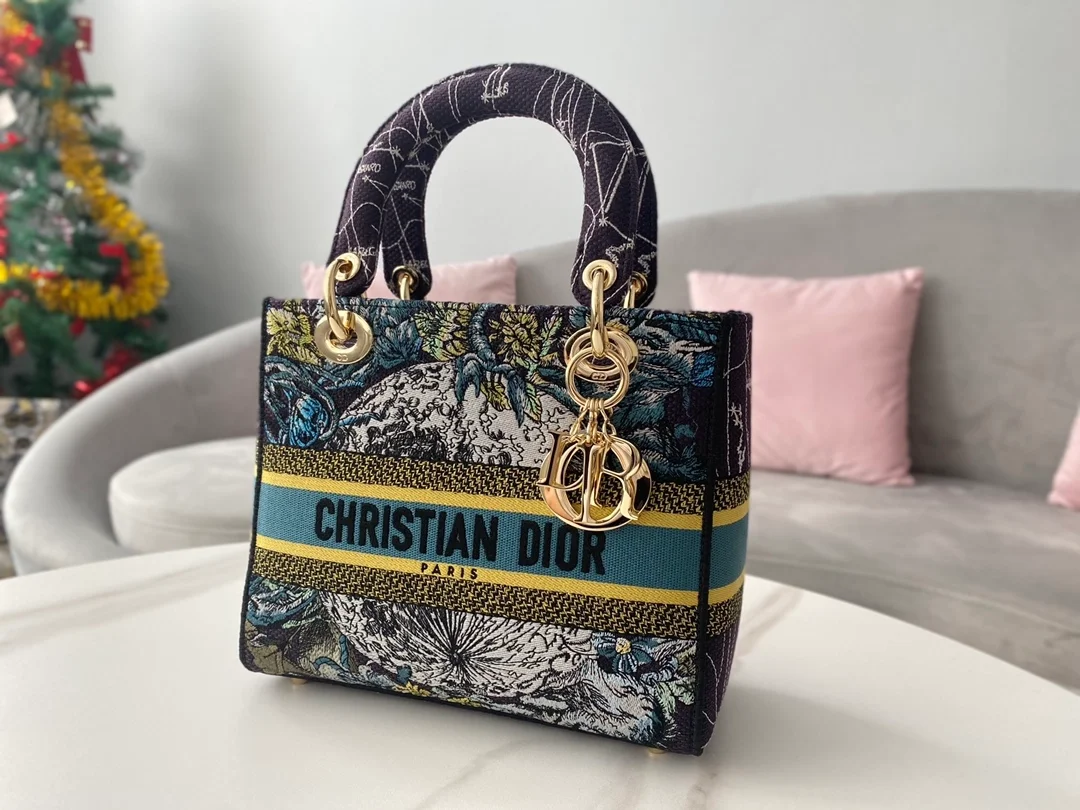 디올 레이디 D-Lite 별자리 멀티 컬러 미디움 백