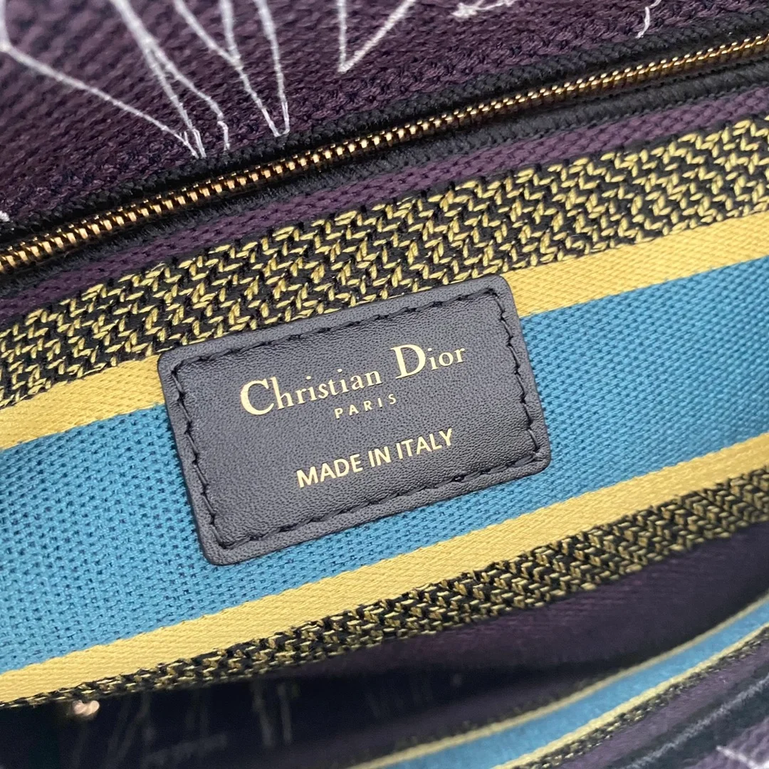 디올 레이디 D-Lite 별자리 멀티 컬러 미디움 백