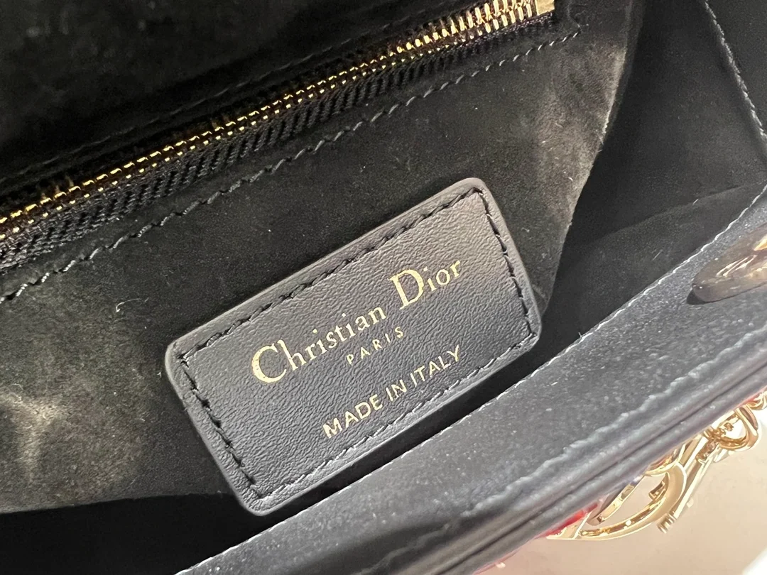 디올 레이디 까나쥬 미니 백