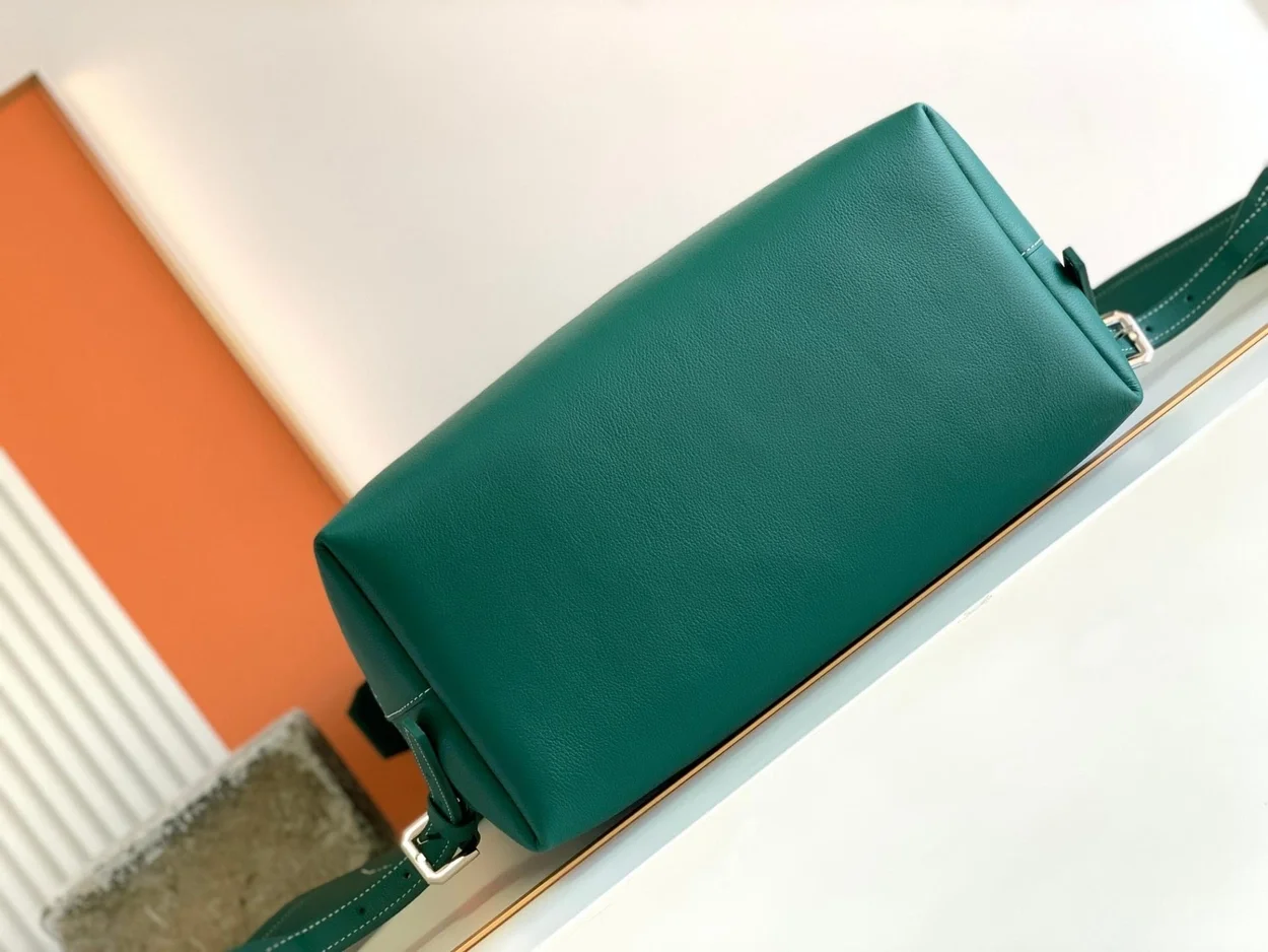 고야드 시스알팡 백팩 그린