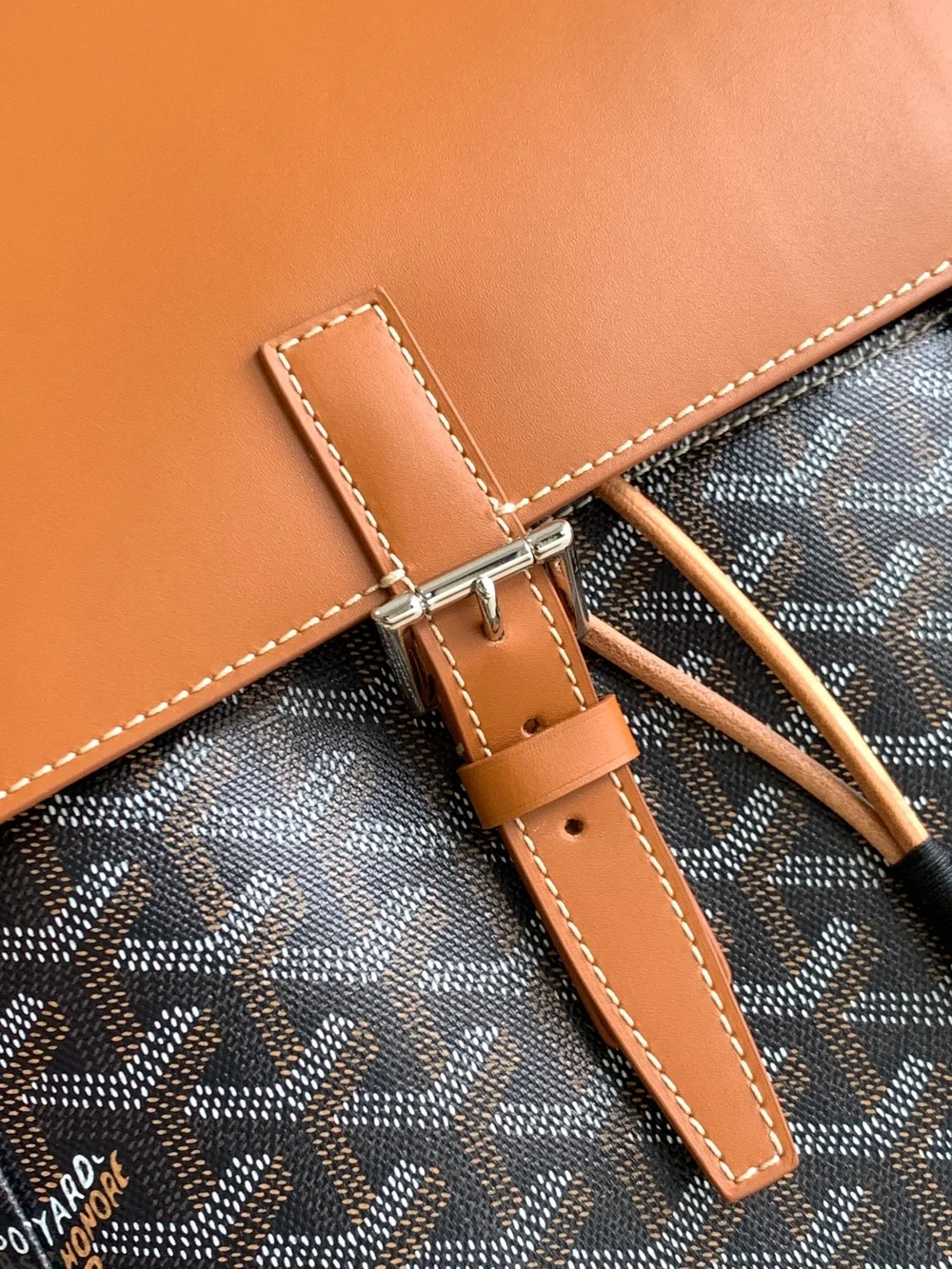 고야드 알파인 MM 백팩 탄