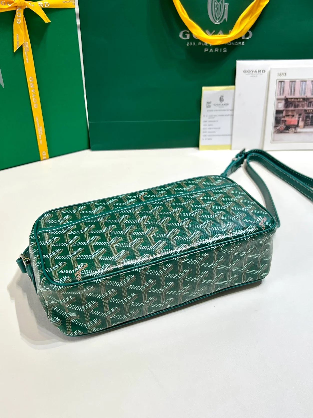 고야드 캅베르 백 PM 그린