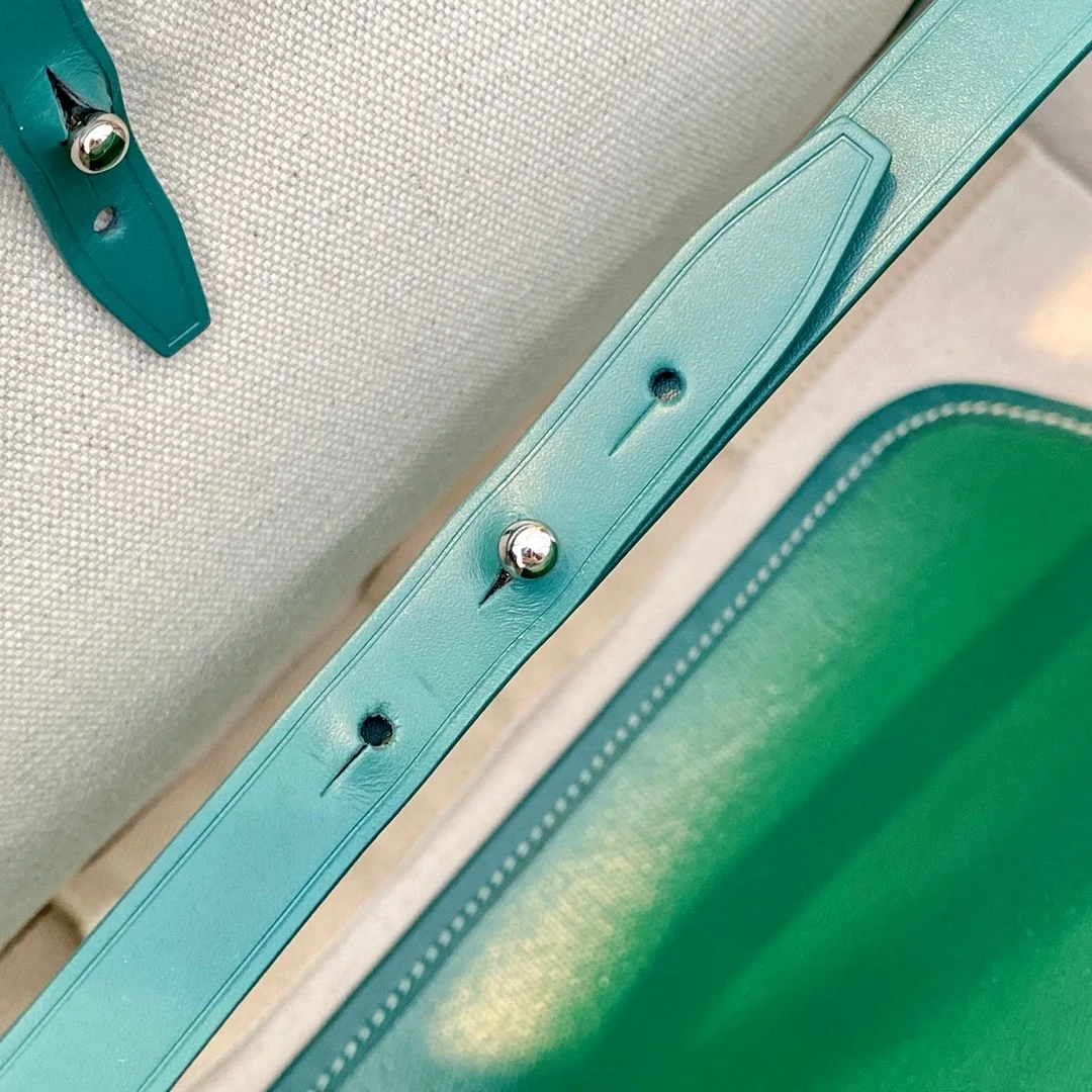 고야드 벨샤스 비유드 백 PM 그린