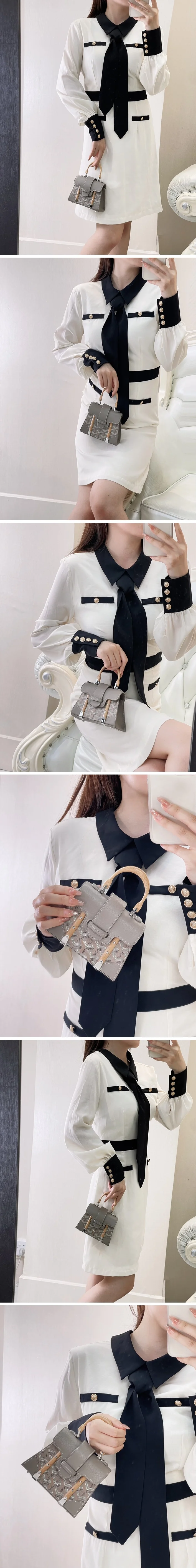 고야드 스트럭쳐 사이공 미니백 그레이