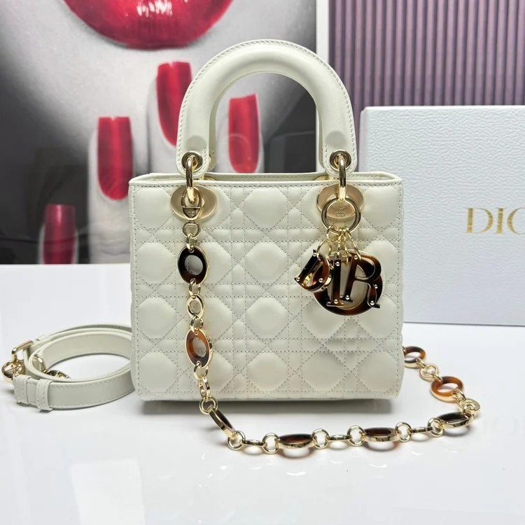 디올 레이디 카나쥬 백 20