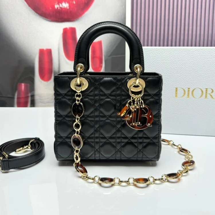 디올 레이디 카나쥬 백 20