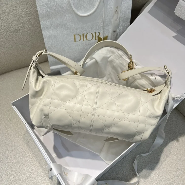 디올 D-journey 디저니백 미디움