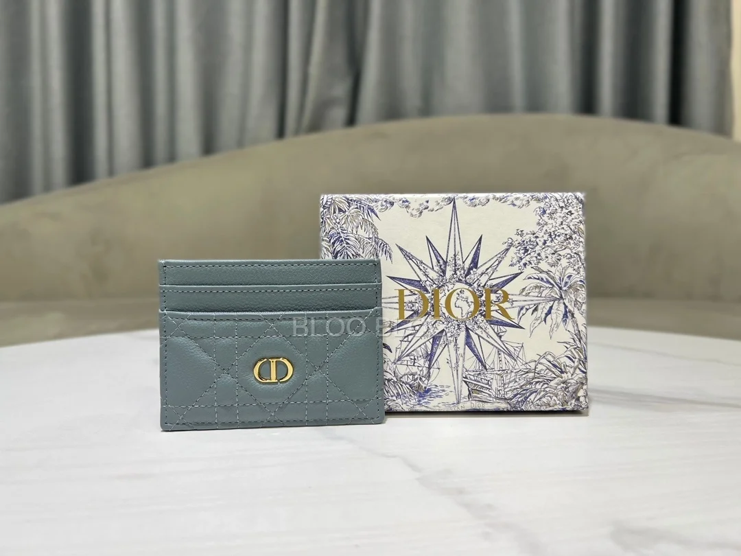 디올 카로 5-슬롯 카드 홀더 클라우드