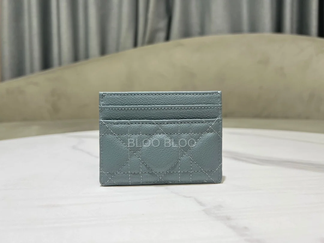 디올 카로 5-슬롯 카드 홀더 클라우드