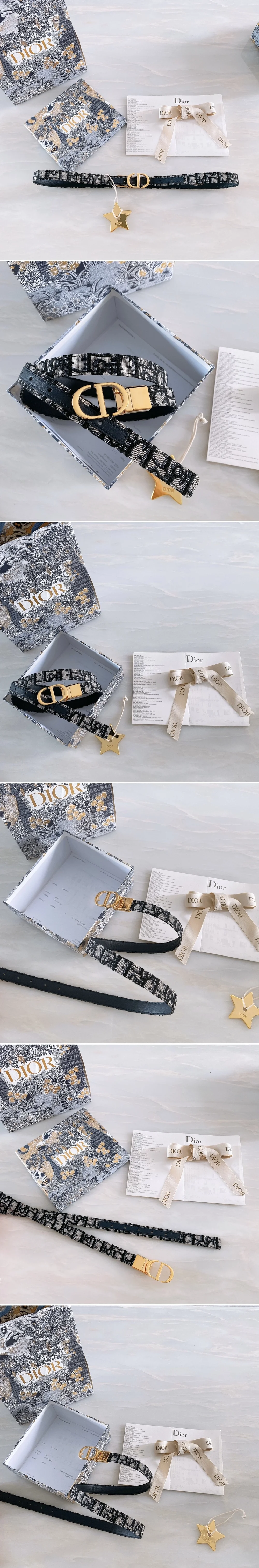 디올 30 몽테인 오블리크 자카드 골드 벨트