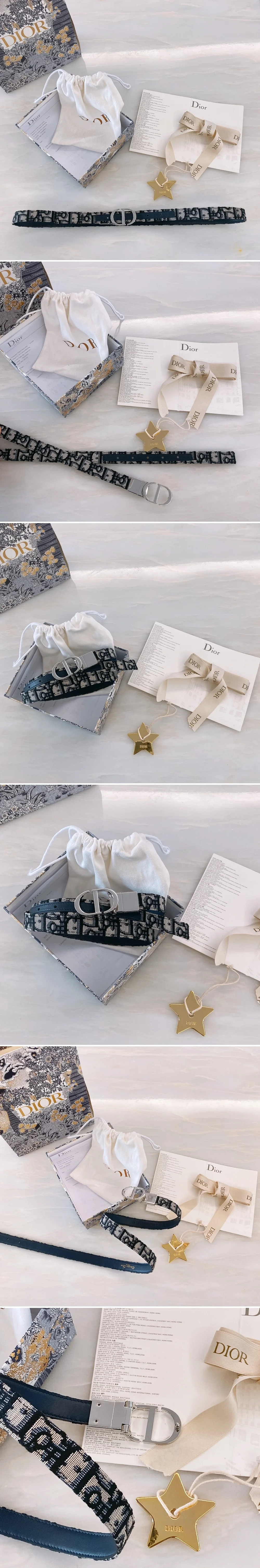 디올 30 몽테인 오블리크 자카드 실버 벨트