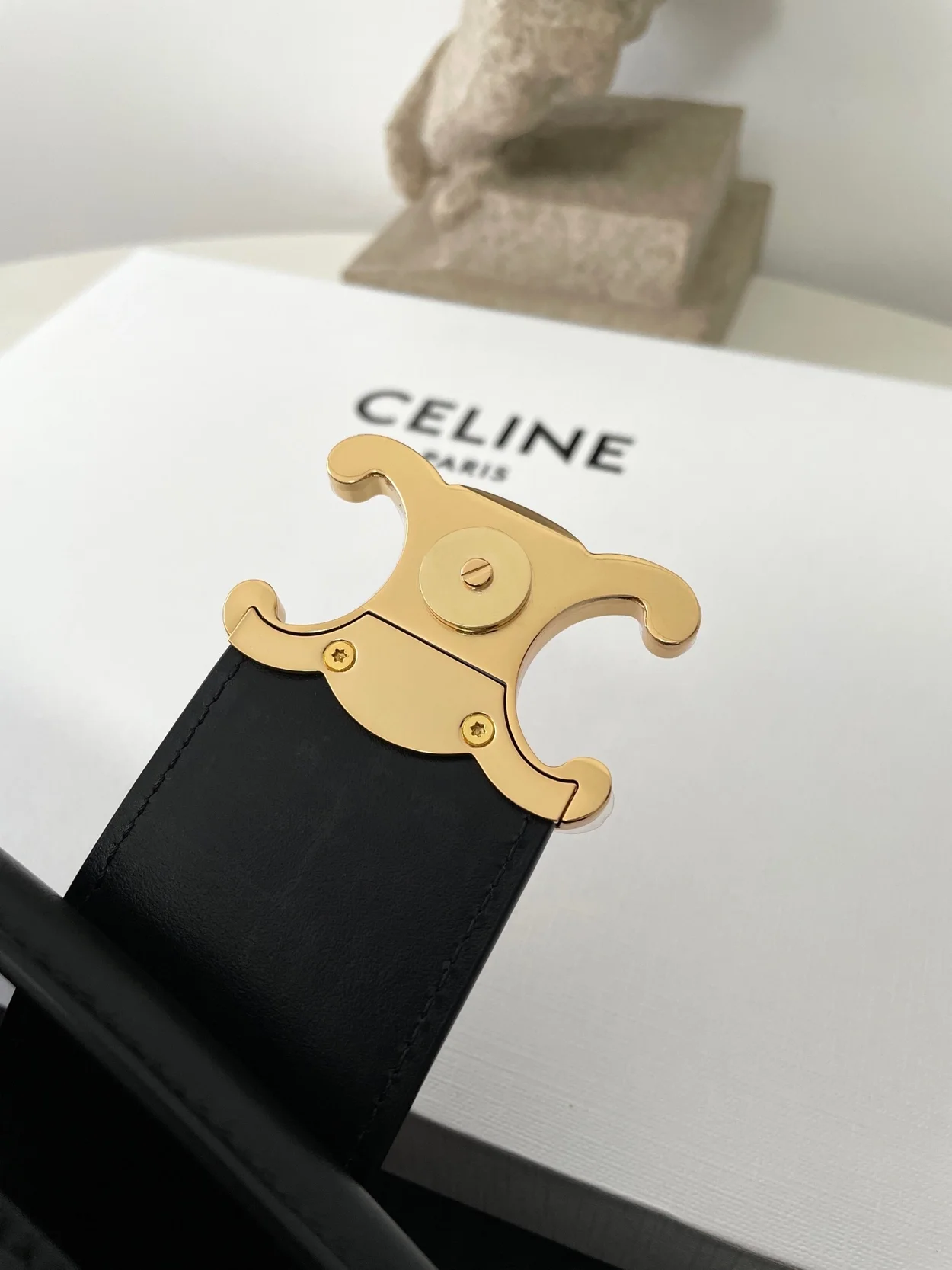 셀린느 미디엄 루이즈백