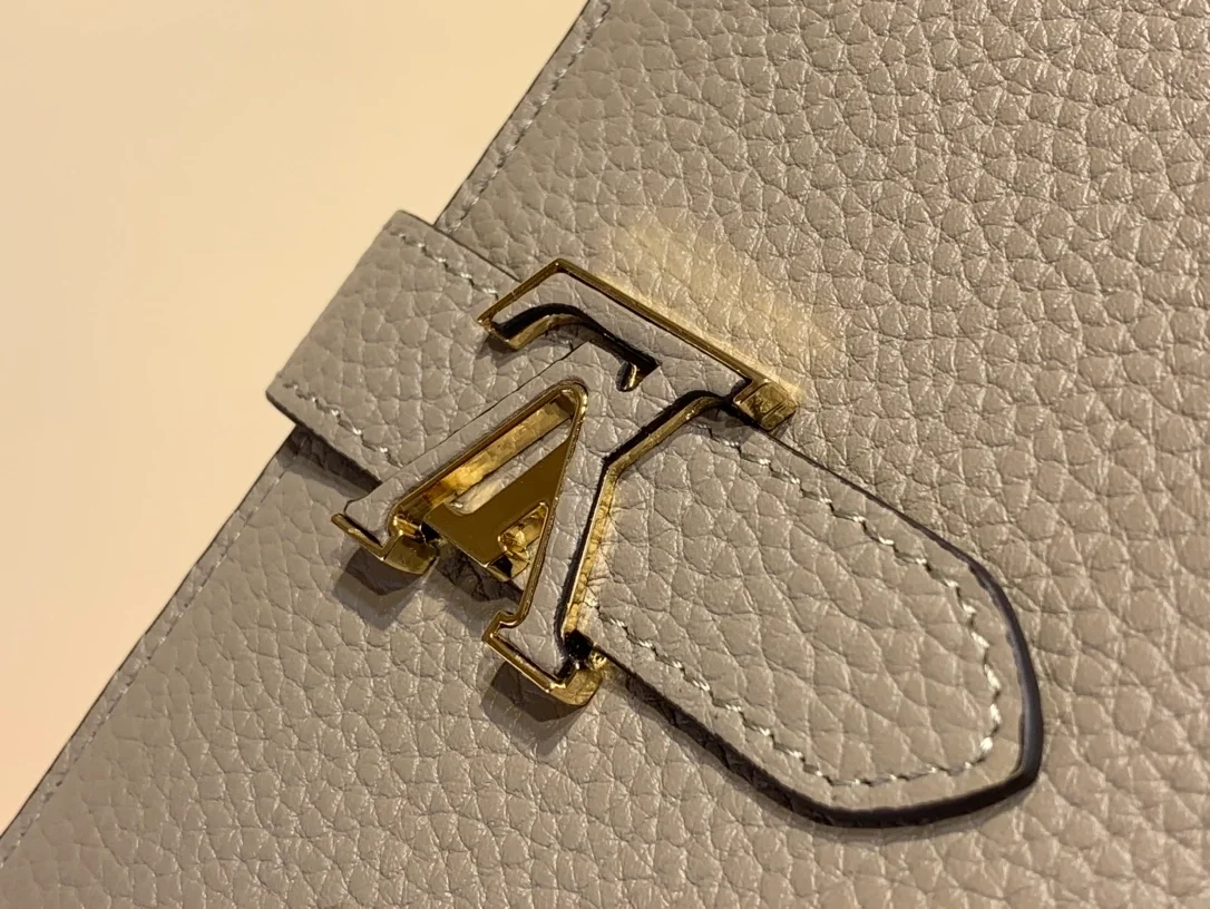 루이비통 토뤼옹 버티컬 월릿 M81367