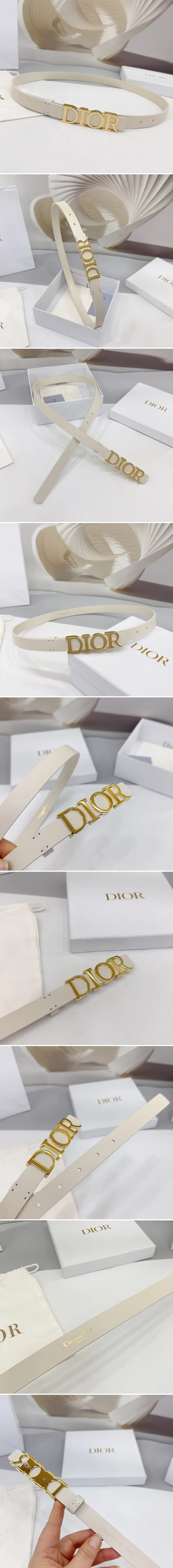 디올 디 드림 골드 벨트