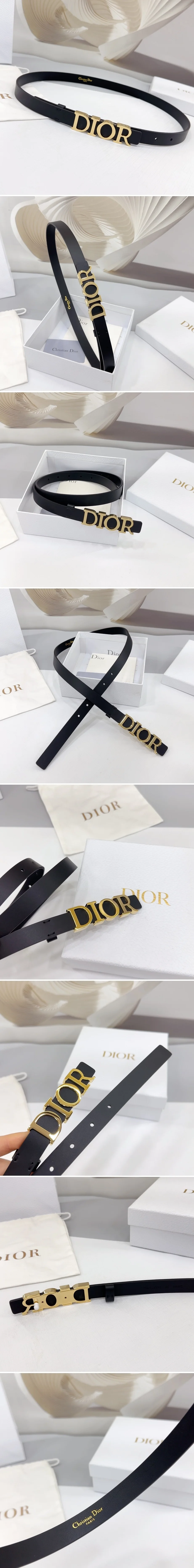 디올 디 드림 골드 벨트